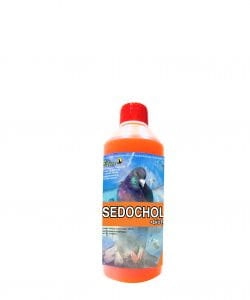 Nowochol 1000 ml wspomaga wątrobę i nerki