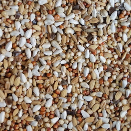 SD Super dieta 20kg Mrowca