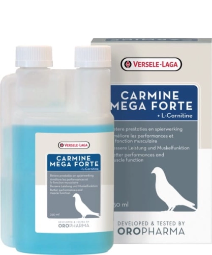 Carmine Mega Forte 250ml -karnityna + aminokwasy + witaminy dla gołębi 