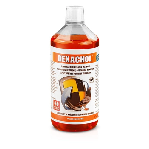 Dexachol 1000ml - ochrona i regeneracja wątroby