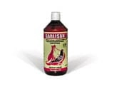 Garlisan