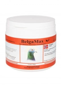 Belgamax - elektrolit