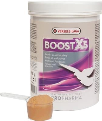 boost_versele_laga_kondycja_loty_duivex_sklep_golab