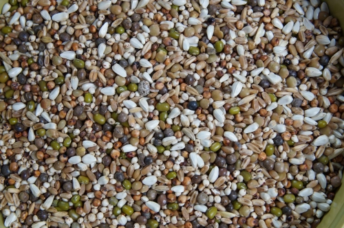 Dieta Proteinowa 20kg Mrowca