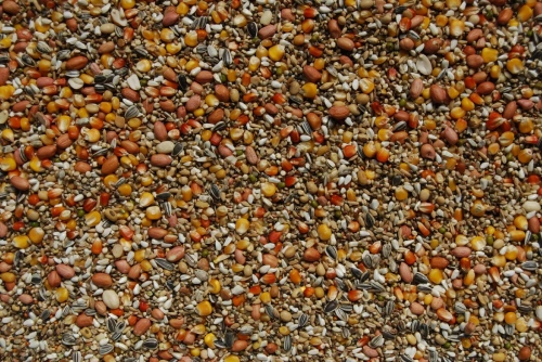 Matador Premium HE 12,5kg -wysokoenergetyczna z orzeszkami ziemnymi