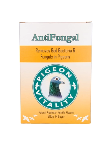 Antifungal 50g saszetka