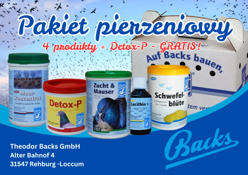 Pakiet_pierzeniowy_Backs_duivex_sklep_golab