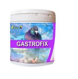 Gastrofix 250 g -50% termin ważności 12/2026