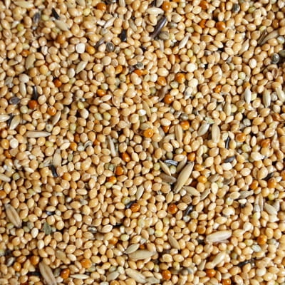 Karma Papugi małej 1kg Mrowca