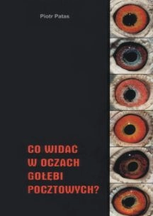 Co widać w oczach gołębi pocztowych? 