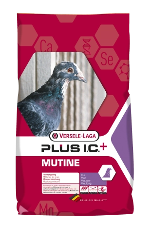 I.C. Plus Mutine 20kg  + 2 kg GRATIS Pierzeniowa