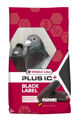 Plus I.C.+ Gerry Black Label 20kg - Karma Lotowa o obniżonej zawartości białka z czarną kukurydzą
