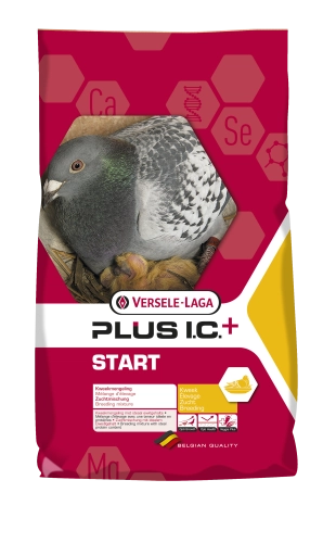I.C. Plus Start Rozpłodowa Versele Laga 20kg + 2kg GRATIS