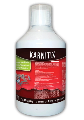 KARNITIX + B12 500ml LEPSZA WYDAJNOŚĆ LOTOWA 