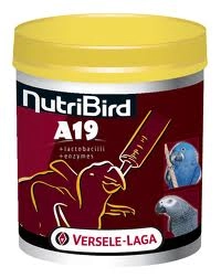 Nutribird A19 800g pokarm do odchowu piskląt