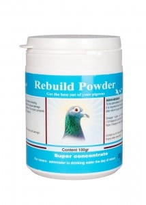 Rebuild Powder 100g -szybka regeneracja po locie