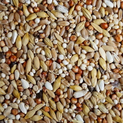 D Dieta 20kg Mrowca