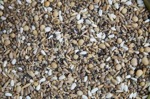 Mieszanka Oleista 20kg Mrowca