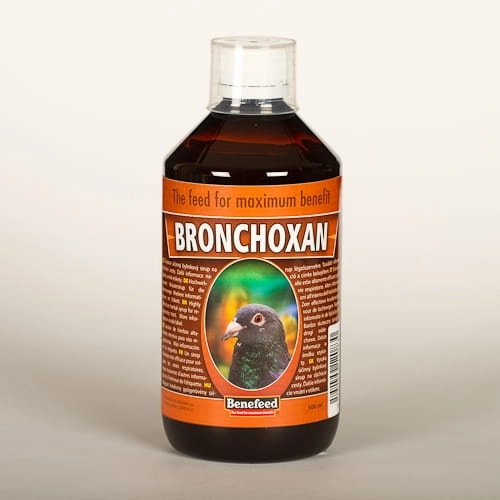 Bronchoxan 1000ml syrop na drogi oddechowe