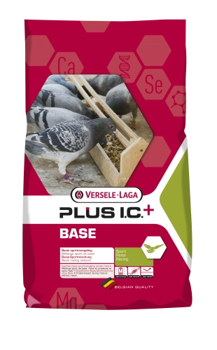  Plus I.C+Base Karma Lotowa regeneracyjna 20kg