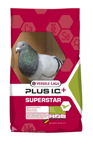 I.C. Plus Superstar Lotowa dla wdowców 20kg