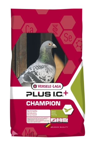 Lotowa - Champion Plus I.C.+ 22kg (2kg GRATIS)