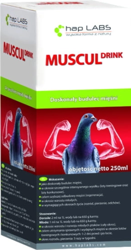 MUSCUL DRINK 250ml Doskonały budulec mięśni