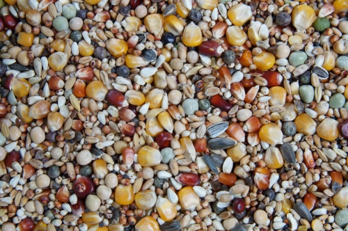 Pierzeniowa 4 Pory Roku 25kg Mrowca