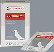 Recup-Lyt- Elektrolity+glukoza 240g (12saszetek)