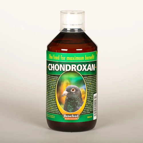 Chondroxan 500ml