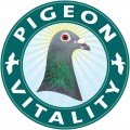 Pigeon Vitality