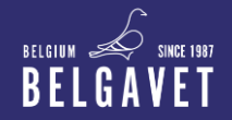 Belgavet-Seiffert